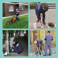 Плановые весенние работы